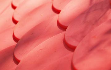 Knapp plastic roof costs